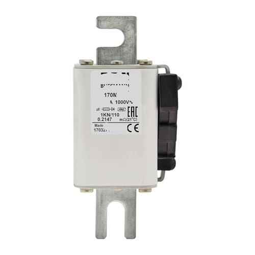Fusible 170M4974 Cube pour éviter les pannes sur standard européen DIN 43 653