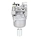 Ewillownm Kompatibel mit 594601 Vergaser für B&S 331877 33R877 31P977 Nikki 792036 795366 799256 698945 695353 697216 Craftsman