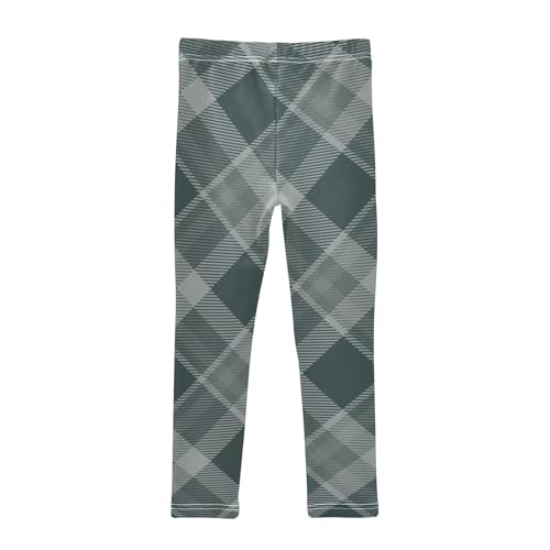 Gray Buffalo Plaid Tartan Check Scotland Green Checkered Girl Shorts Cotton Cartwheel Shorts Activewear for Performance2