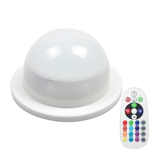 DINOWIN 16 Colour Changing Remote Controlled Mood Lights Outdoor USB Rechargeable 4 Modes Portable Light Bulb Landscape Globe Lights for Camping Patio Garden Gazebo (12 LED)
