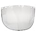 JACKSON SAFETY, 29079, 34-40 CLEAR FACESHIELD3002808