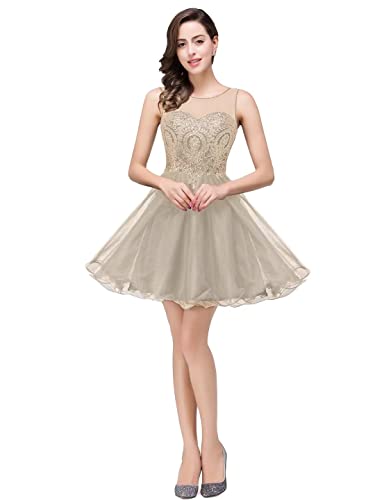 Misshow Evening Party Dresses For Women 2023 Cocktail Homecoming Dress For Teens Lightgray L #TOP3