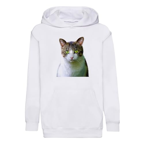 Sweat premium chat européen blanc aux finitions haut de gamme pour enfant