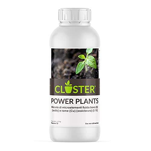 CLOSTER Power Plants 1 LT - Fertilizzante Piante a Base di Rame e Zolfo - Concime Liquido ad Azione Antimicrobica Contro Funghi e Batteri, Stimola la Nutrizione e Combatte Le Carenze Minerali (1 LT)