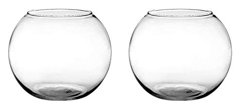Floral Supply Online - Rose Bowls (Set of 2) - Glass Round Vases for Weddings, Events, Decorating, Arrangements, Flowers, Office, or Home Decor.