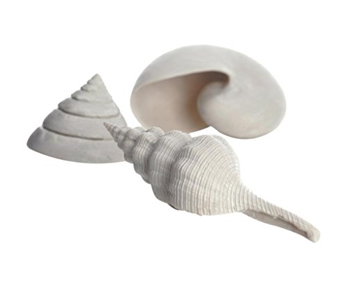 biOrb Jeu de 3 coquillages blancs