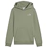 PUMA Ess 2 Color Small No. 1 Logo Hoodie FL B