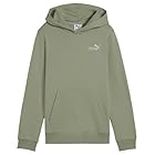 PUMA Ess 2 Color Small No. 1 Logo Hoodie FL B