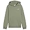 PUMA Ess 2 Color Small No. 1 Logo Hoodie FL B