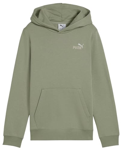 ESS 2 Color Small No. 1 Logo Hoodie FL B