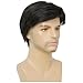 Dai Cloud Short Black Wigs for Men Layered Fluffy Natural Synthetic Hair Male Wig Daily and Halloween Wig
