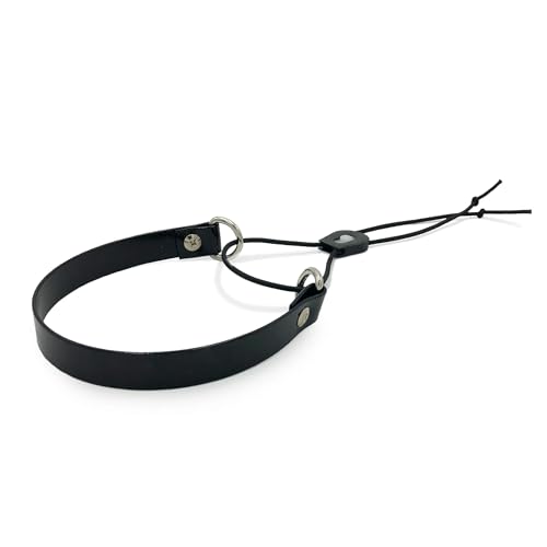 Sparky Pet Co Surefit 1" Bungee Dog Collar & E-Collar Strap