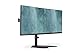 DIGITUS Monitorhalterung - Standfuß - 2 Monitore - Bis 32 Zoll - Bis 2X 8 kg - VESA 75x75, 100x100 - Schwarz