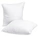 HIPPIH 2 Pack 18 x 18 Pillow Inserts, Hypoallergenic Decorative Square Pillow Form Insert