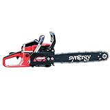 SYNERGY PROFESSIONAL LIFE