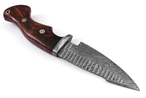 Hunting Knife 10 Inches - Handmade Damascus Steel Fixed Blade Knives - Walnut Wood Handle & Leather Sheath - Bushcraft Outdoor, Skinning & Survival Knife