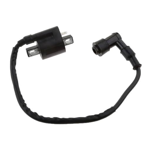 Bobina de encendido TW200 con interruptor y cable metálico de 300 mm para ATV 6