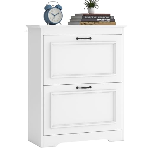 Brinlawb Meuble à Chaussures Entree, Armoire à Chaussures avec 2 Portes abattantes,Séparateur Réglable, Peut contenir 8 à 12 Paires de Chaussures pour...