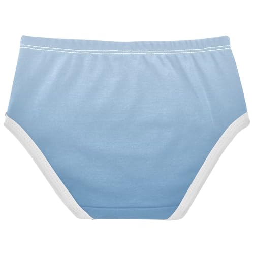 Joisal Cotton Toddler Girls Underwear Elegant Blue Steel Gradient Little Girl Panties Funny Briefs Kids Undies 2t2