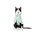 Youly Green Stripe Shirt for Cats, Small/Medium