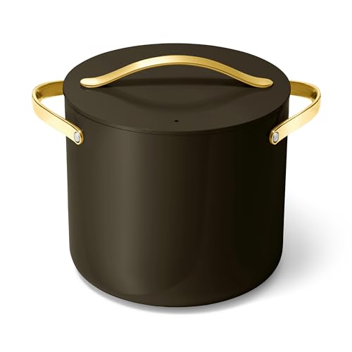 Caraway Stock Pot - 12 Qt Ceramic Coated Pot With Lid - Fee From Forever Chemicals - Large Pot for...