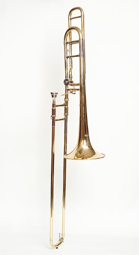 Tempest Trombone - Professional F Attachment, Open Wrap, Gold Brass Bell, Heavy Weight Slide, Case, Mouthpiece, 5-Year warranty