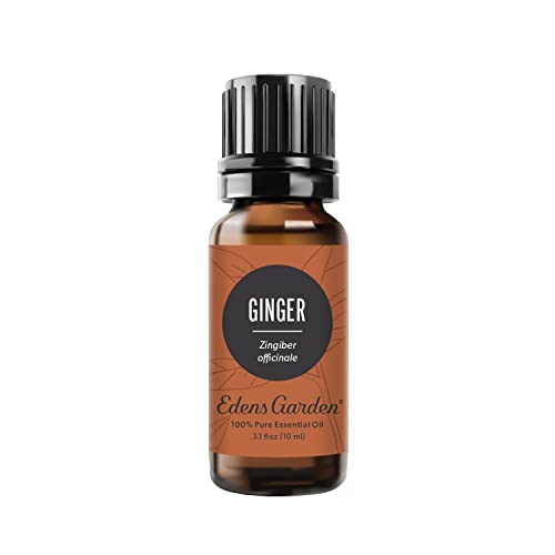 Edens Garden Ginger Essential Oil- 100% Pure Premium Grade Undiluted Natural Therapeutic Aromatherapy The Best for Diffuser Skin Candle Kid Safe 10 ml (.33 fl oz)