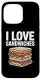 Sandwich Enthusiast Humor Fun
