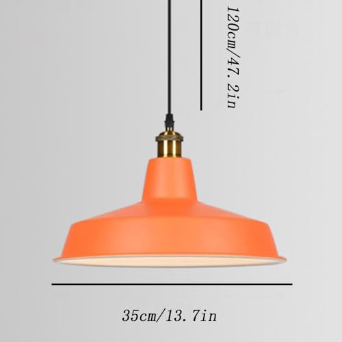 Lumière décorative d'installation câblée pour loft et ferme - 5
