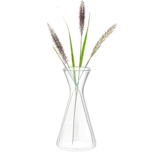 Haoideo Avocado Seed Sprout Starter Vase Planter Pot Glass Avocado Tree Plant Growing Vase Kit Indoor Home Decor Hydroponic Tabletop Flower Pot for Plant Lover