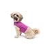Mellow Shirt Dog Anxiety Calming Wrap, XX-Small, Radiant Orchid