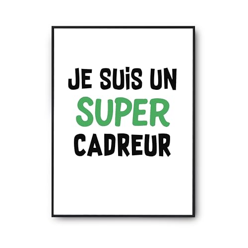 Affiche Humour Cadreur pour Murs Vides - Poster Déco Anniversaire A2