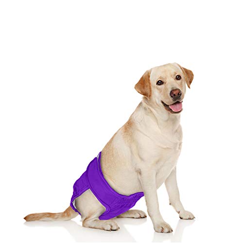 Luxja Reusable Female Dog Diapers (Pack Of 4), Washable Wraps For Female Dog (Large 1, Gray+Green+Purple+Rose Red) #TOP5