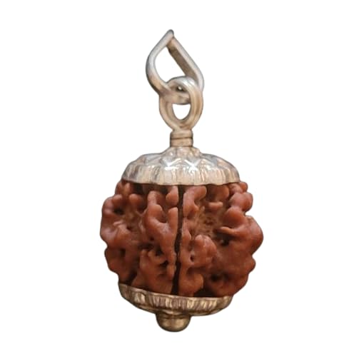 SreeGems Natural Certified Ek Mukhi rudraksha Nepali Bead Original 1 ...