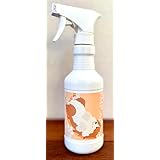 FMP.Ag!Pet 300mL コーギーグラデーションボトル (オレンジ)