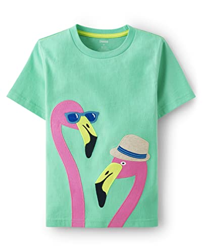 Image of Gymboree Boys and Toddler Embroidered Graphic T-Shirt