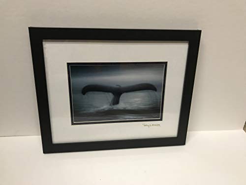 by Wyland Whales Tail Custom Framed in Flat Black Gold Foil Stamp