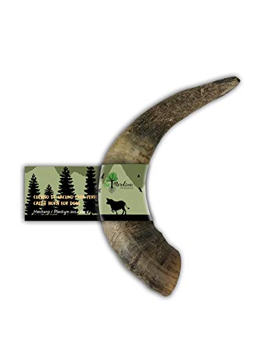 BiMordiscos Pet Products Mordedor de Cuerno de Vacuno para Perros - 100% Natural (M 201-350g) Cover