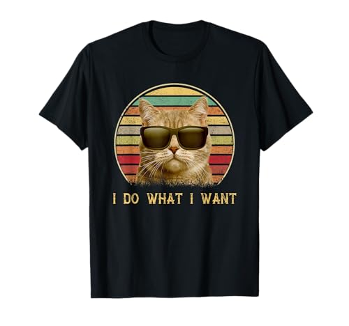Funny Cat lovers gifts Vintage i do what i want cat T-Shirt