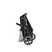 Joie Ginger DLX Travel System, 4-in-1 Stroller & Car Seat, Includes Lightweight Rue Infant Car Seat (Blush)