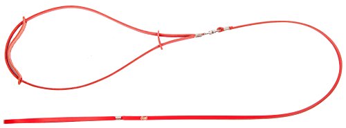 Dingo Smart Fashion for Champion, Guinzaglio da esposizione in pelle, guinzaglio rosso per fiere e spettacolo di anelli per cani, larghezza 10705,6 mm