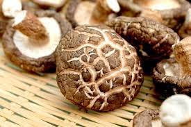 Nourcery Dried Shiitake Mushroom, 50gm (Sawtooth Oak Mushroom) 2