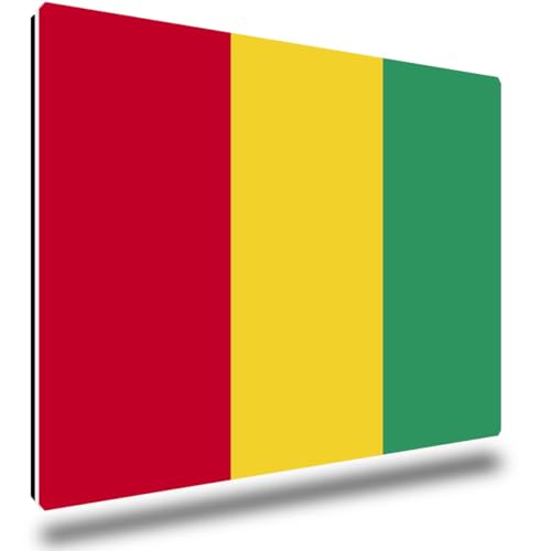 TRIOSK Kühlschrankmagnete Länderflaggen Magnet Flagge Guinea Länder Reise Souvenir Geschenk für Reiselustige Frauen Männer Weltenbummler Kühlschrank stark eckig groß 85x55 mm