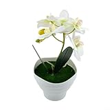 Décoration : que ce soit pour les fêtes, les bureaux, les cafés, les maisons ou les jardins, cette orchidée bonsaï artificielle est un choix de décoration idéal. Son aspect élégant et délicat ajoute une touche de beauté et d'élégance à n'importe quel environnement.