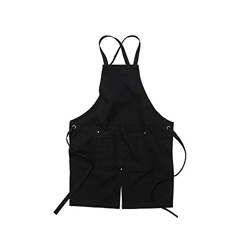 [iCebhAX] Gv [NX d  |Pbgt LoX NX^Cv [NGv JtFGv Y fB[X n 12.2IX 1384 (1-ubN, t[TCY)