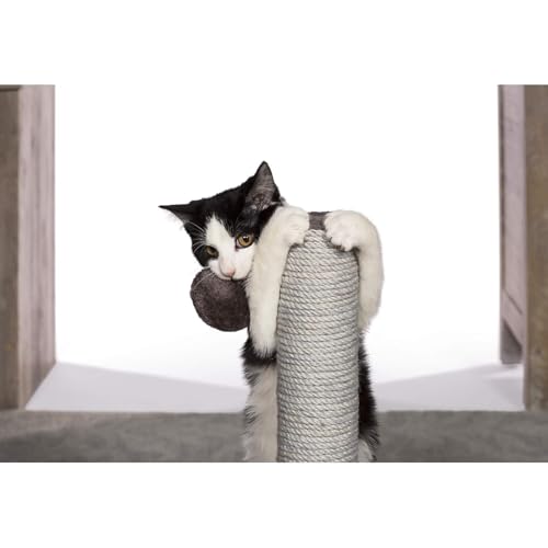 Rascador Moderno para Gatos HomeStock de Diseño Contemporáneo miniatura 2