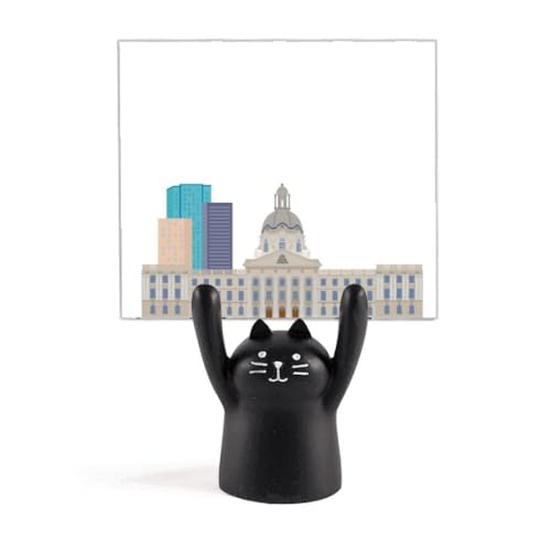 Ji_h}[NƓssz̖ J[gD[LX^h^z_[