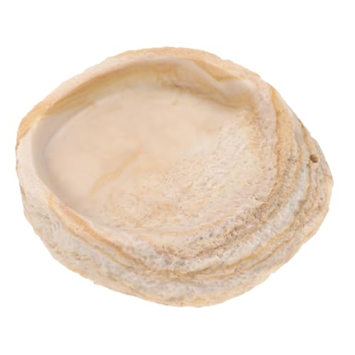 Comedero para Reptiles Plato De Gusano Reptil Plato De Comida De Tortuga Alimentador De Agua para Reptiles Plato De Comida para Reptiles Plato De Agua De Tortuga Resina Toddmomy