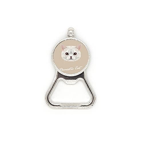 Décapsuleur chat blanc en inox pour ouvrir vos bières sans effort