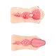 Hmxseu 3D Lippen Zungen Masturbator Oralsex Masturbatoren Realistischer Mundmasturbator Einkanal Muschi-Cup mit Partikel Penistasche Penis Erotik Masturbation Sexspielzeug für Männer